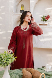 Areena - 2Pc Embroidered Dress