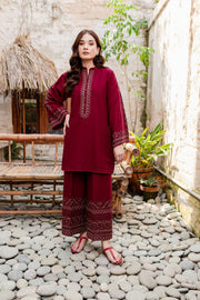 Cosmo - 2Pc Embroidered Dress