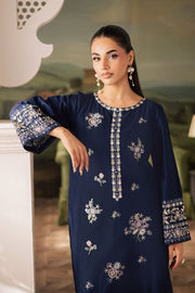 Dazzel Danim - 2Pc Embroidered Dress