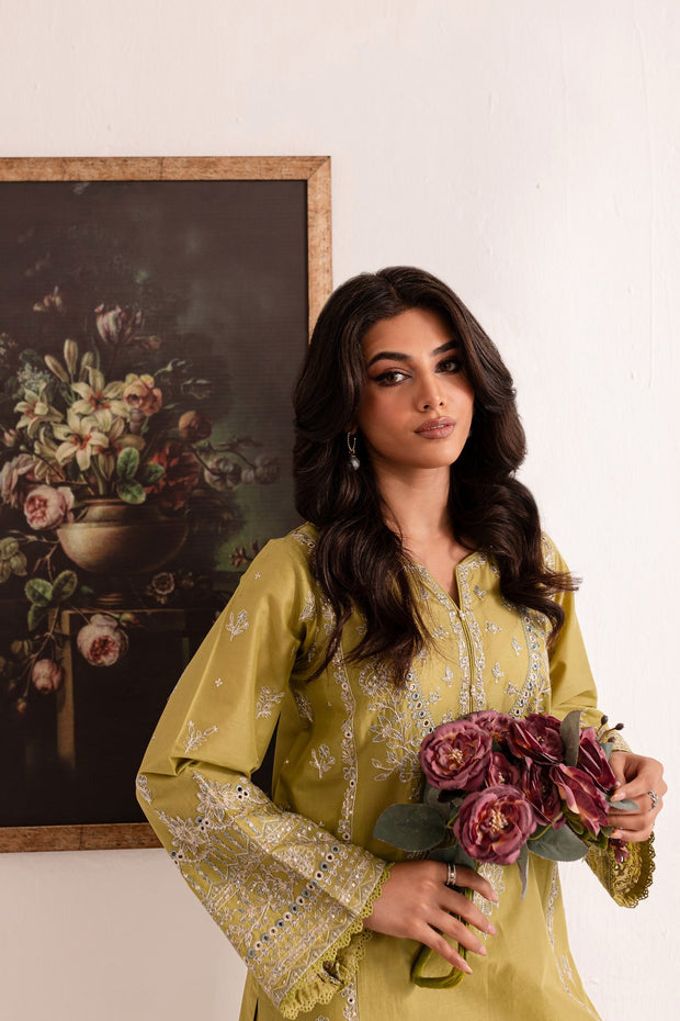 Jade - 2Pc Embroidered Dress