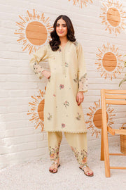 Lost Lagoon - 2Pc Embroidered Dress