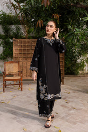 Winter - Best Selling - Nashwa - 2Pc Embroidered Dress
