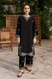 Winter - Best Selling - Nashwa - 2Pc Embroidered Dress