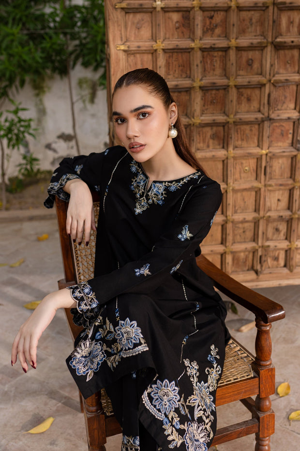 Winter - Best Selling - Nashwa - 2Pc Embroidered Dress