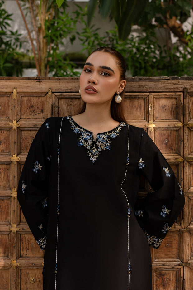 Winter - Best Selling - Nashwa - 2Pc Embroidered Dress
