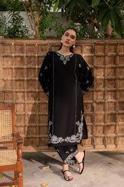 Winter - Best Selling - Nashwa - 2Pc Embroidered Dress