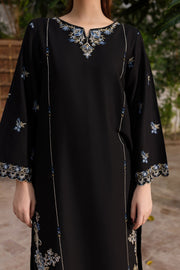 Winter - Best Selling - Nashwa - 2Pc Embroidered Dress